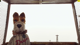 Meet the dogs in this 5-minute <i>Isle Of Dogs </i>short<em></em>